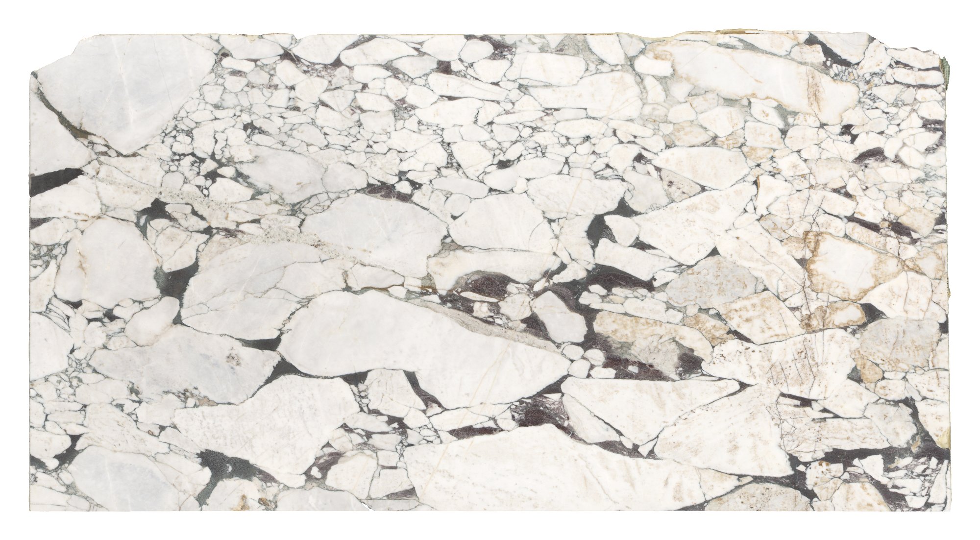 Calacatta Viola — full slab