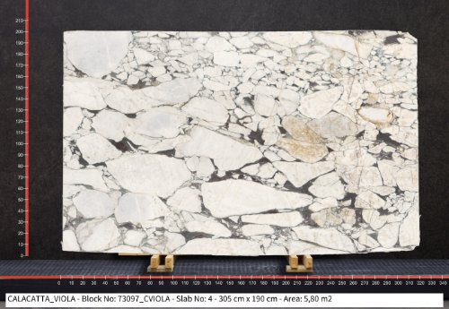 Calacatta Viola — Bundle 73097